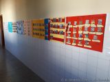 My Gallery (34/80)